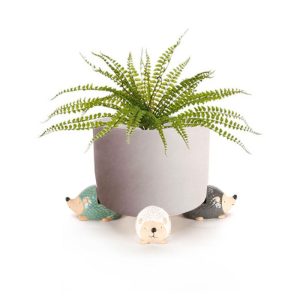 Echidna Pot Feet Set of 4