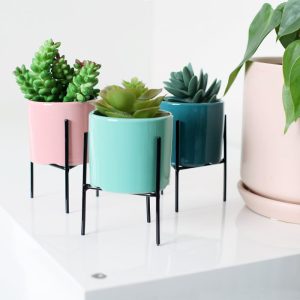 Mini Pot Set with Metal Stand