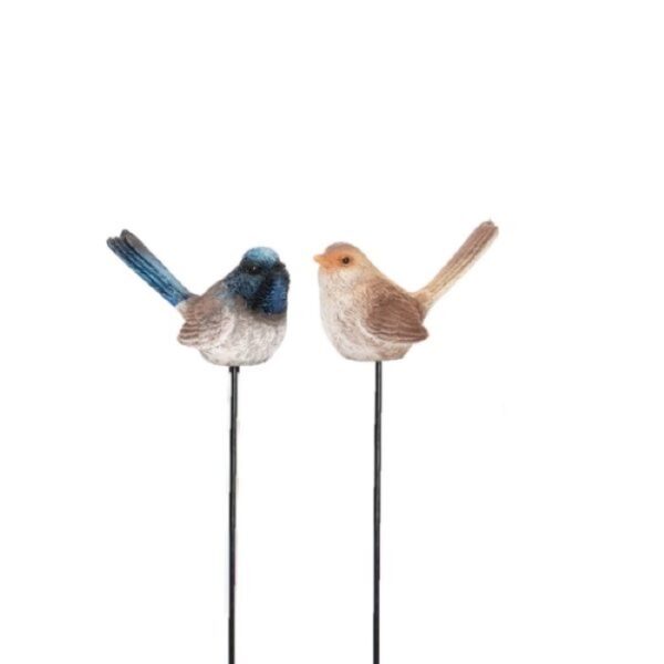 Fairy Wren Pair on stake