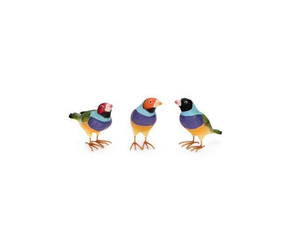 Gouldian Finches Small with metal feet