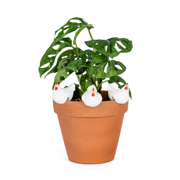 Chicken Pot Sitter White Small set of 3