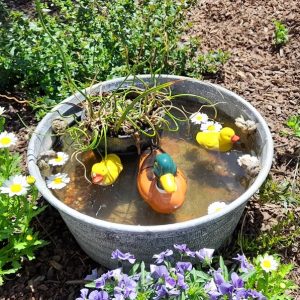 Water Feature Kit Duck Family